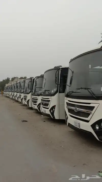 باصات للايجار او البيع 0