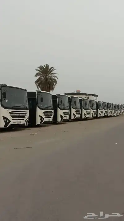 باصات للايجار او البيع 1