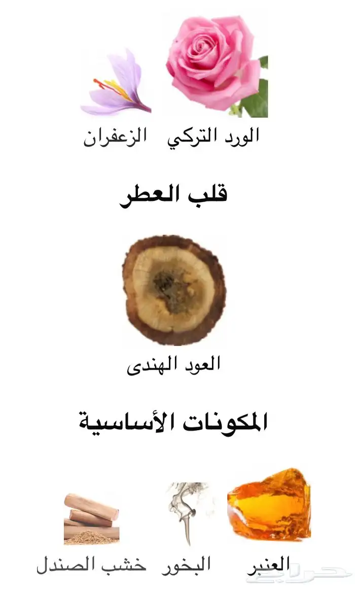 عطر الليل من فريدريك مال أفخم عطر في العالم للعيد والمناسبات 2