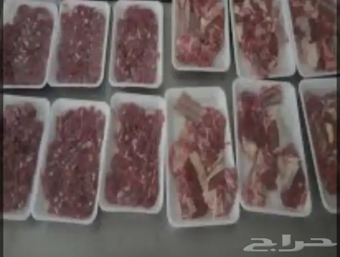 سواكني تربيه من المزرعه لباب بيتك 6