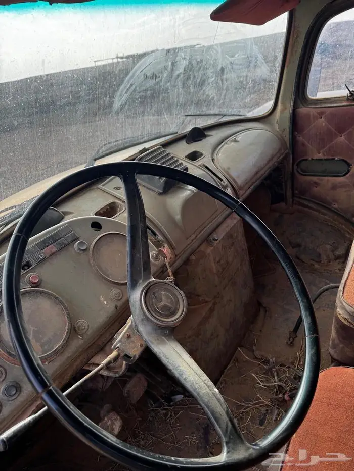 وايت حصنان 1313 2