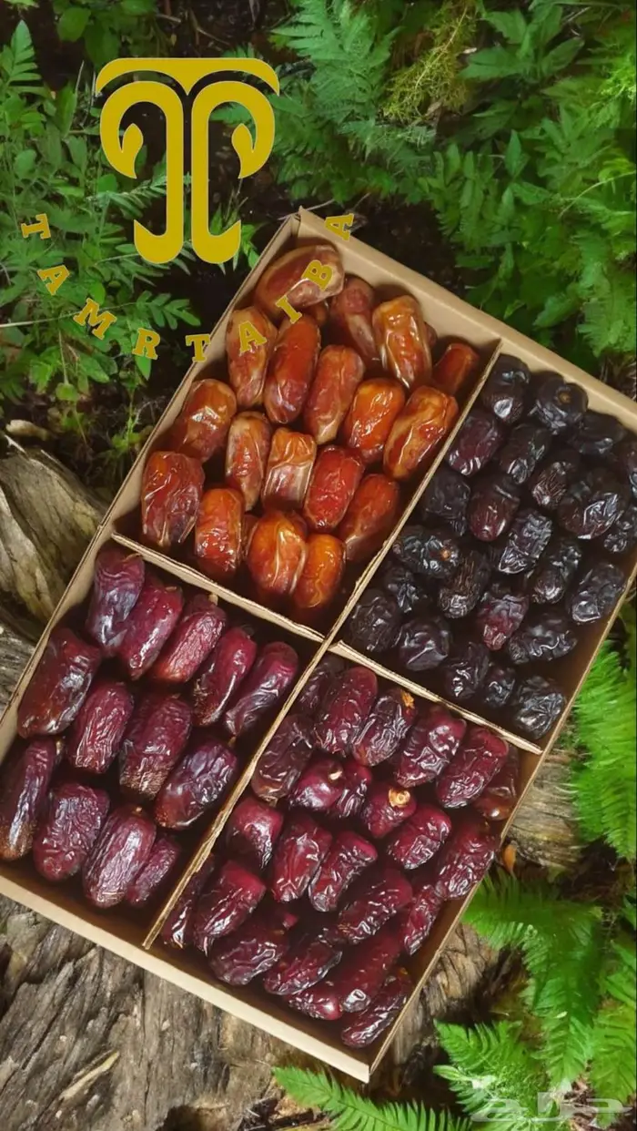 عروض على أجود أنواع التمور المدينية من متجر تمر طيبة 0