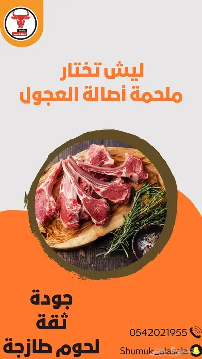 ملحمة اصالة العجول في تبوك 7