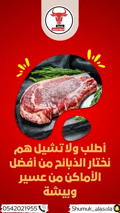 ملحمة اصالة العجول في تبوك 2