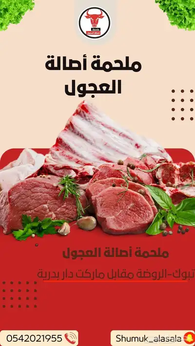 ملحمة اصالة العجول في تبوك 12
