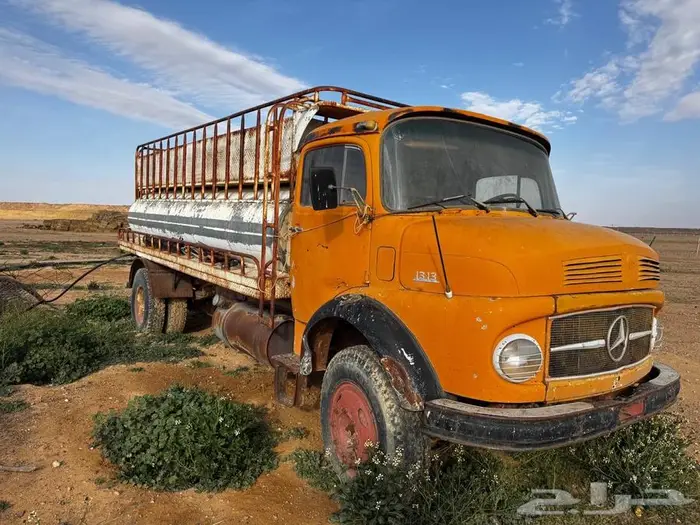 وايت حصنان 1313 7