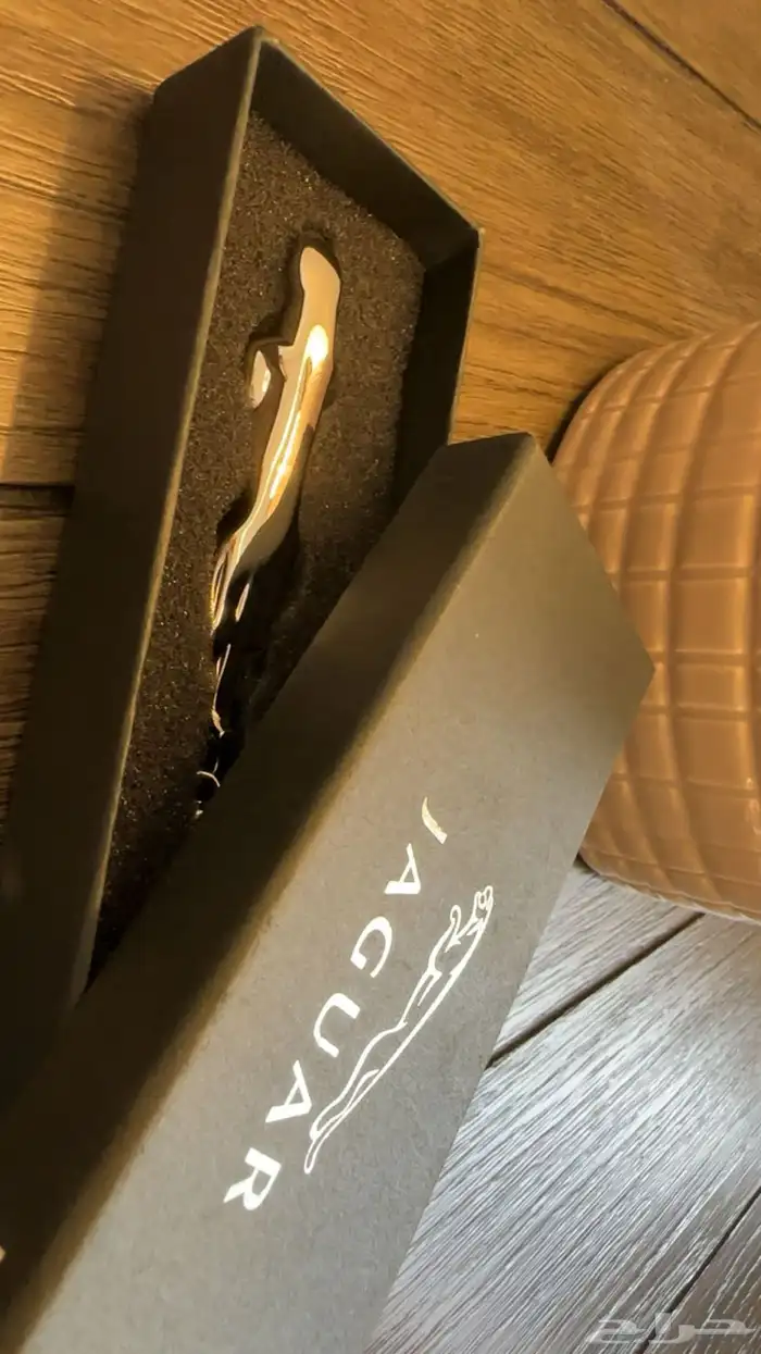 ميداليه جاغوار أصليه مناسب للمفاتيح او تعليقه بسلسال 2
