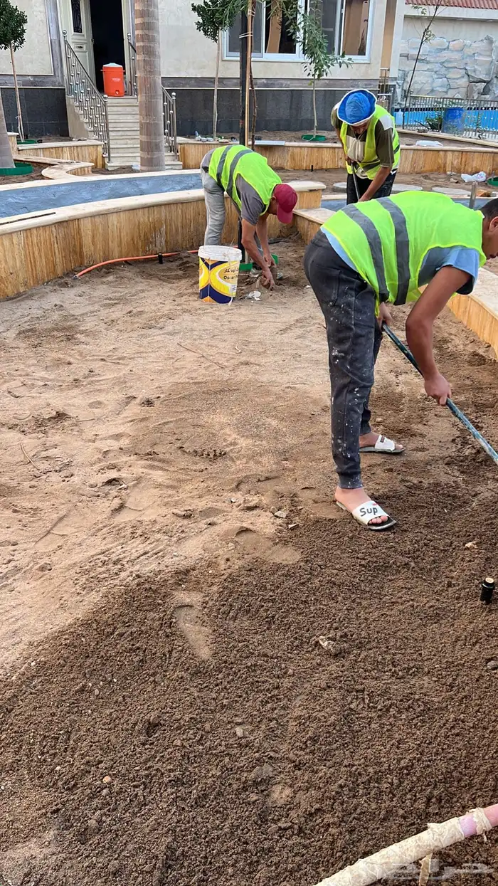 زراعة وحدائق 2