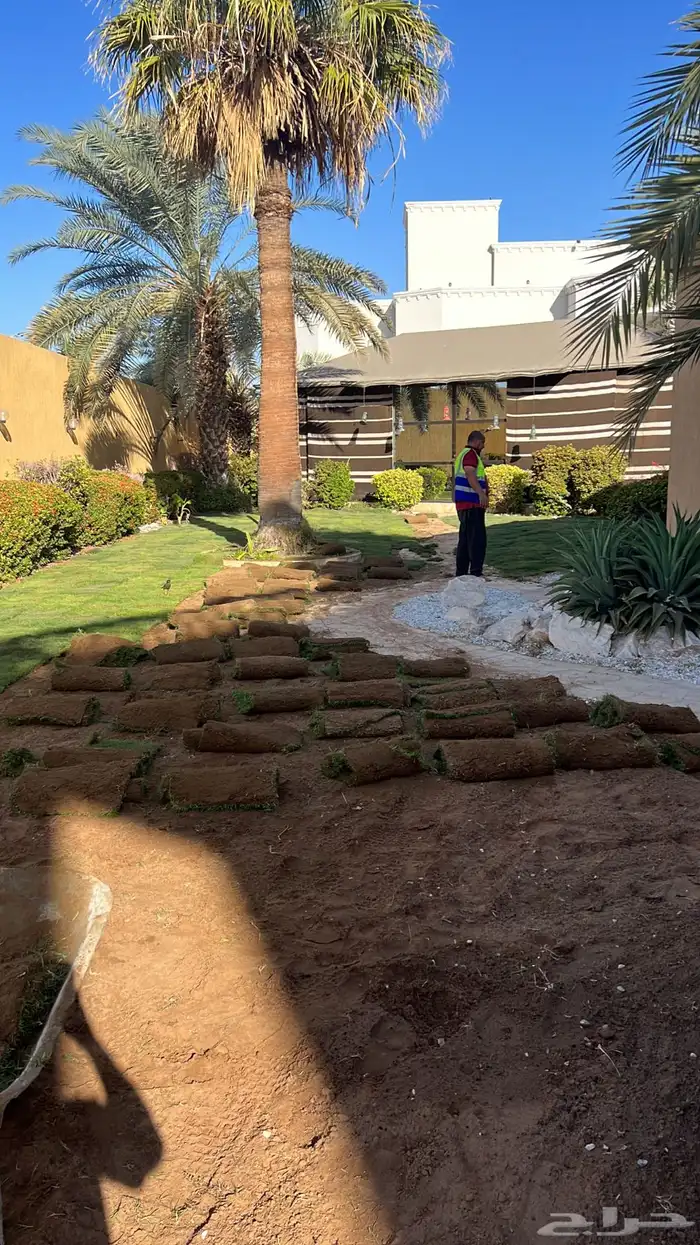 زراعة وحدائق 65