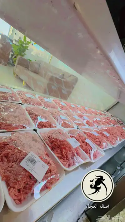 ملحمة اصالة العجول لافضل ملحمة في تبوك 4