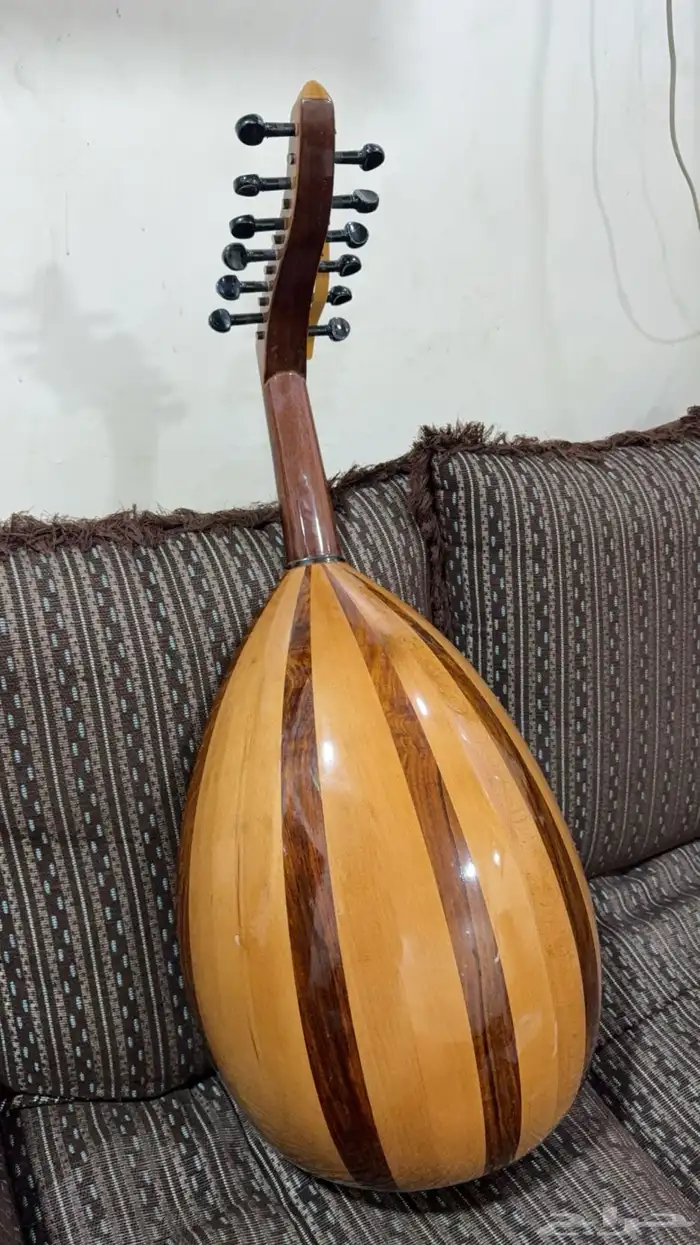 عود مصري 1