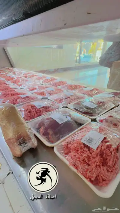 ملحمة اصالة العجول لافضل ملحمة في تبوك 5