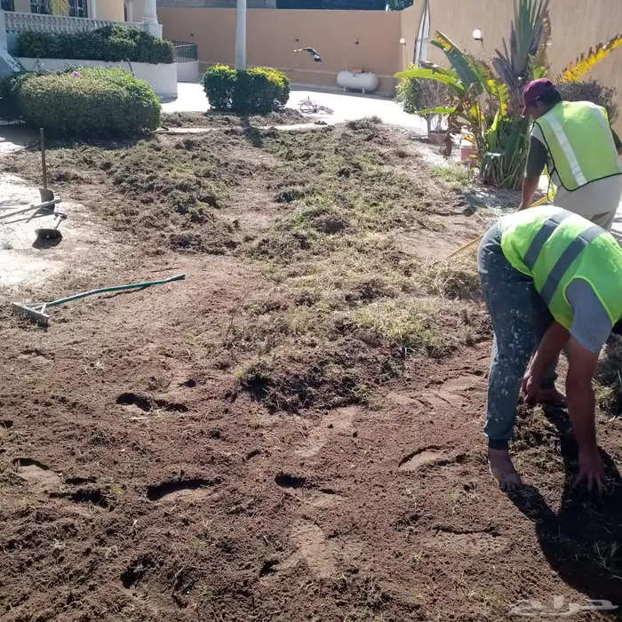 زراعة وحدائق 63