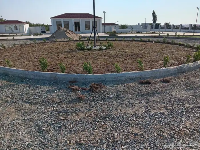 زراعة وحدائق 34