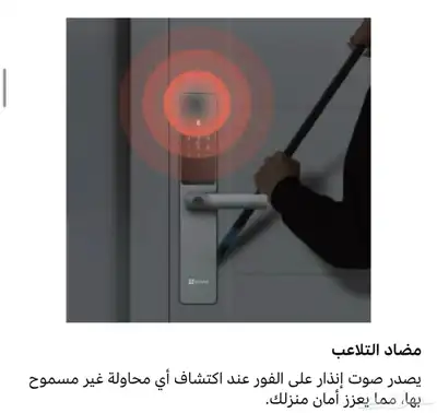 كيلون ذكي DL05 من ايزفيز اوكرة باب ذكية 12
