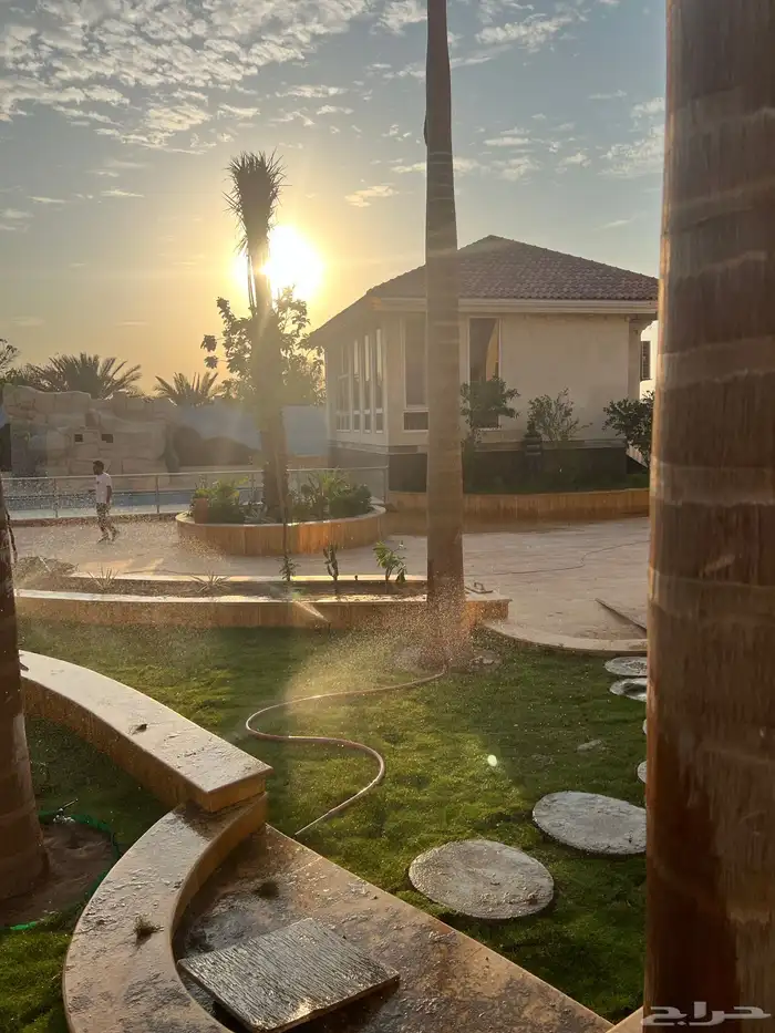 زراعة وحدائق 15