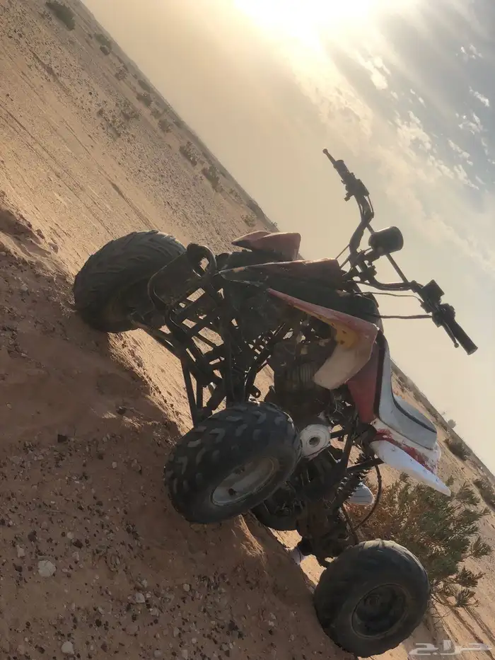 دباب كبير للبيع 0