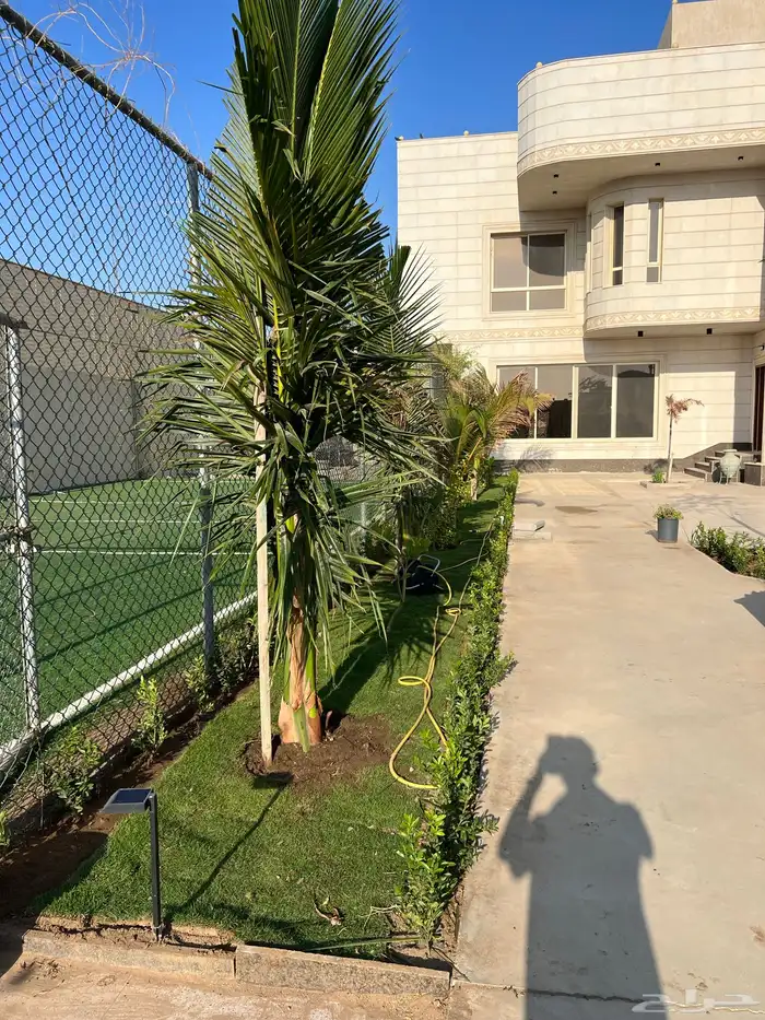 زراعة وحدائق 21