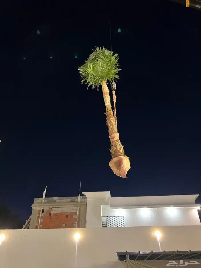 زراعة وحدائق 45