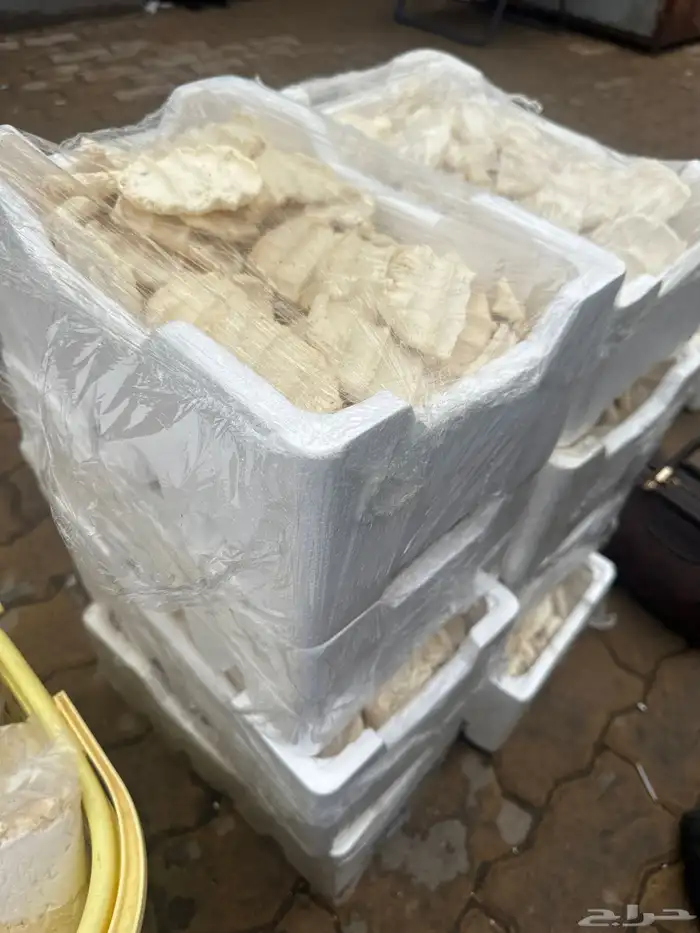 بقل اقط بقري 1
