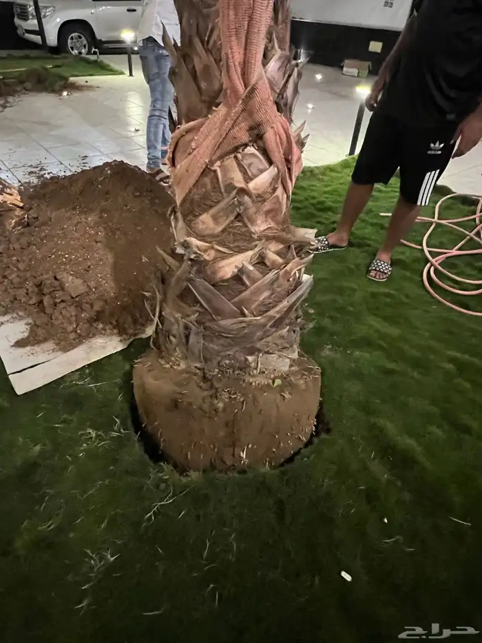 زراعة وحدائق 44