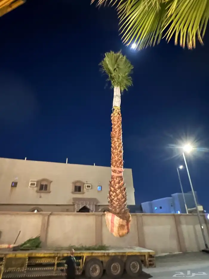 زراعة وحدائق 41