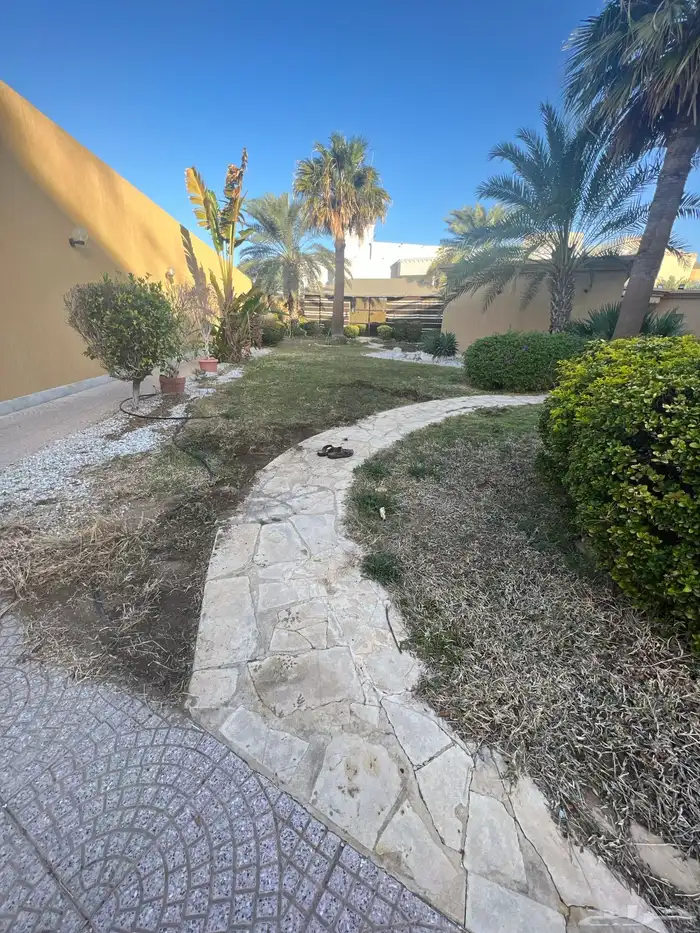 زراعة وحدائق 62