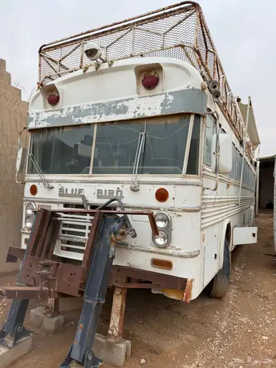 باص كلاسيكي من طراز Blue Bird موديل 1974 index