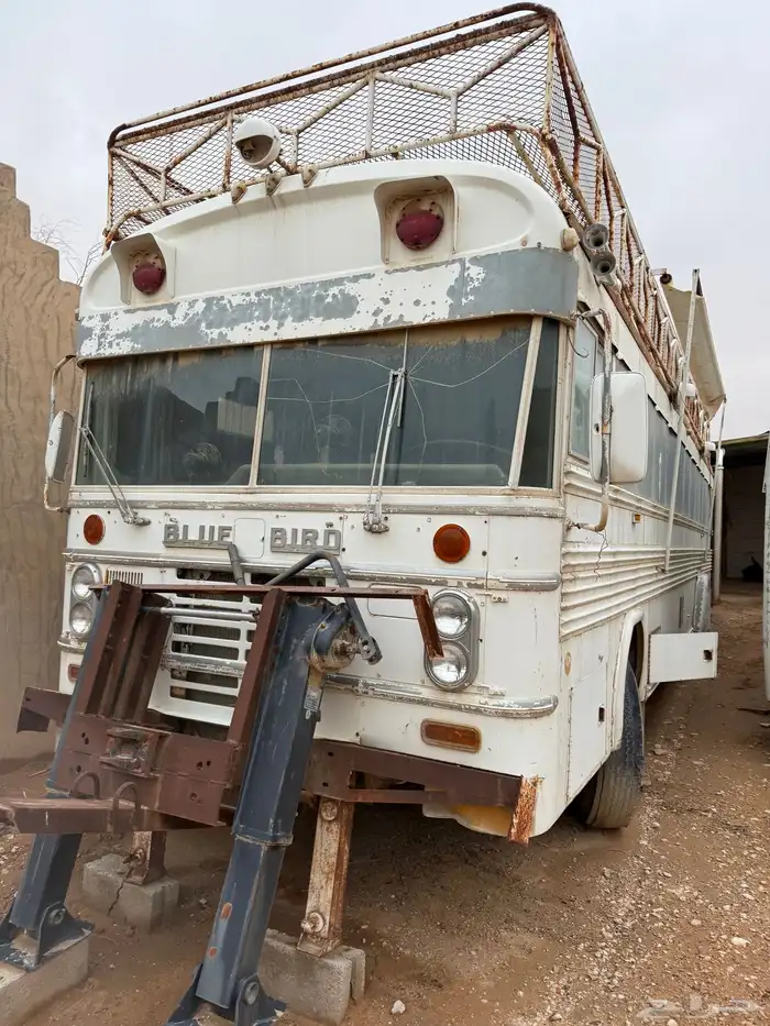 باص كلاسيكي من طراز Blue Bird موديل 1974 0