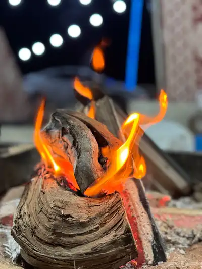 تاجير مخيم 6