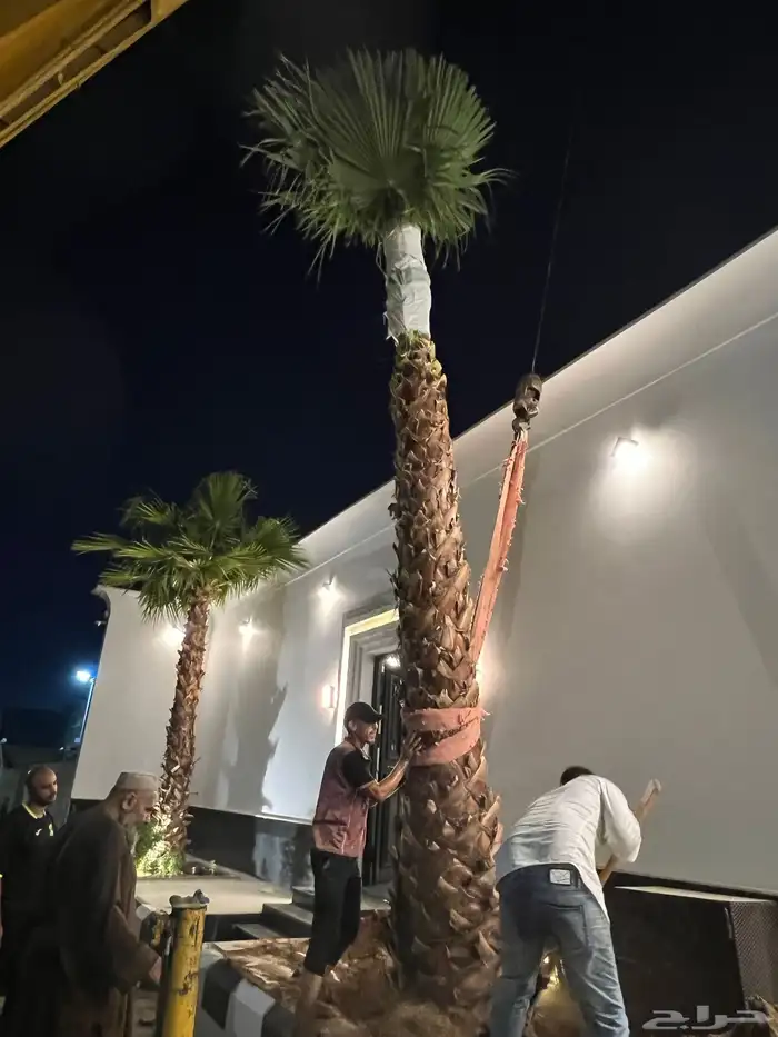 زراعة وحدائق 46