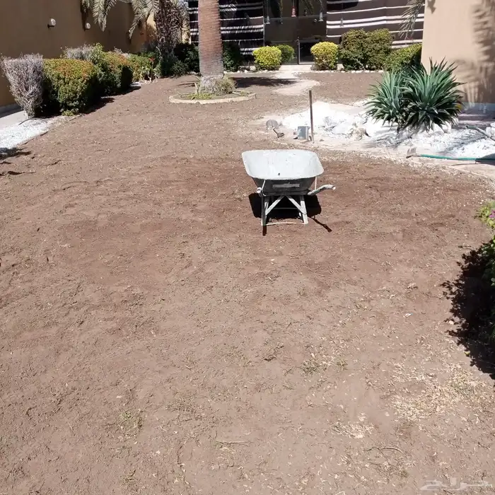 زراعة وحدائق 64