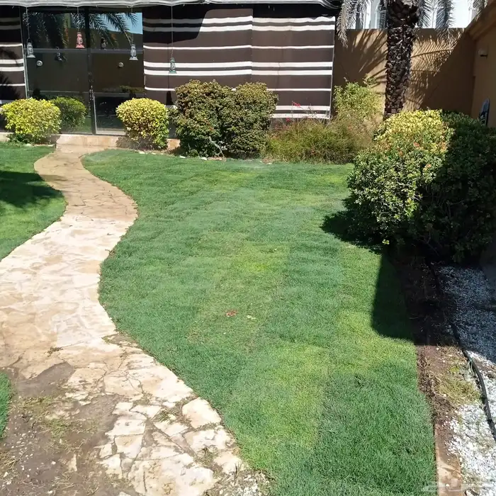 زراعة وحدائق 67