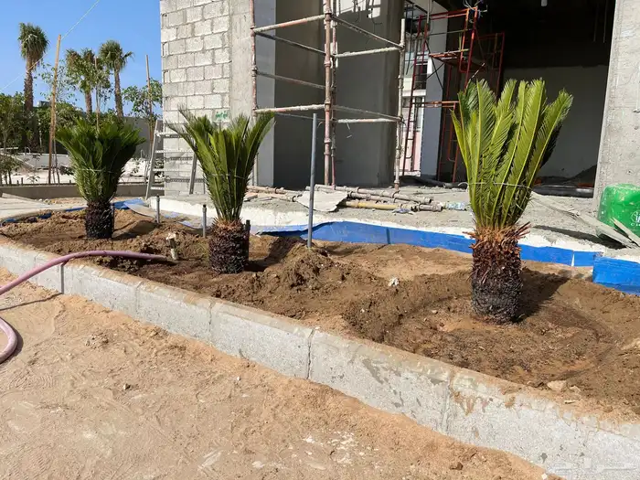 زراعة وحدائق 48