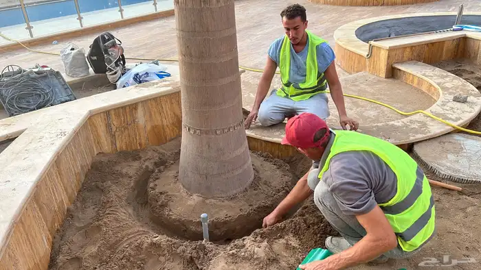 زراعة وحدائق 0