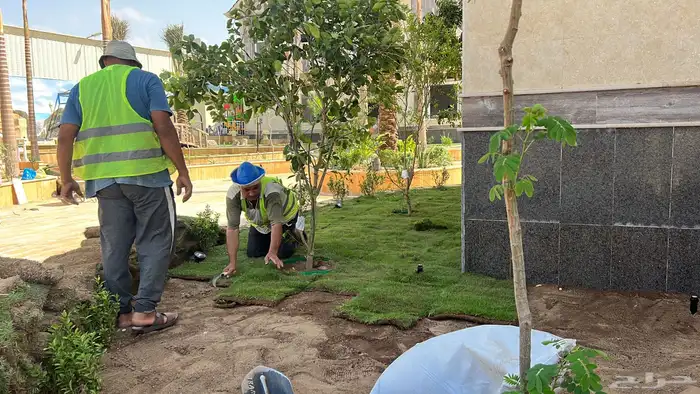 زراعة وحدائق 9