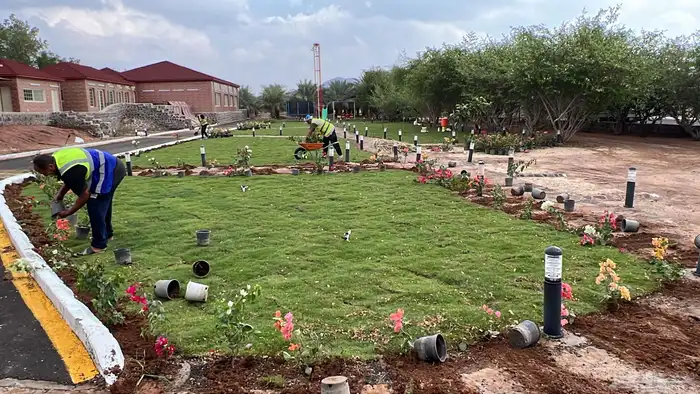 زراعة وحدائق 26