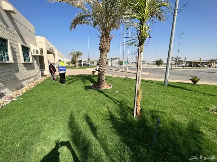 زراعة وحدائق 55