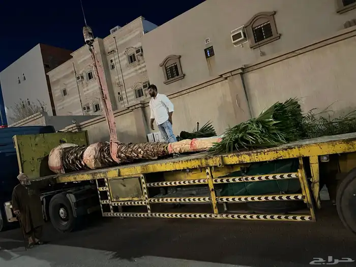 زراعة وحدائق 42