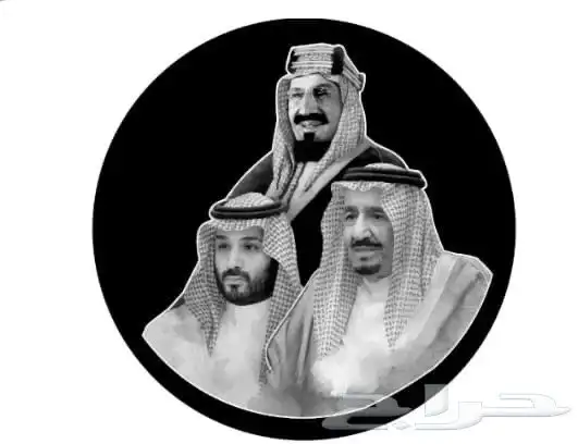 اجهزة شعارت. يوم الوطني 15