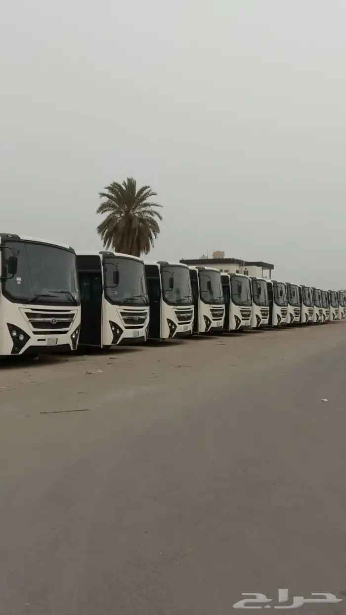 متوفر باصات للإيجار او للبيع 1