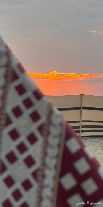 تاجير مخيم 5