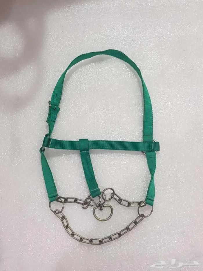 رشم خيل بأقل الأسعار 0