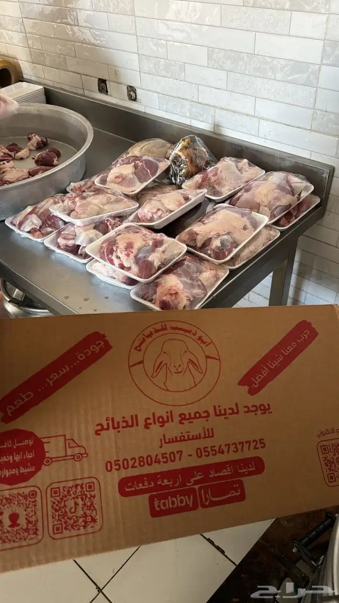 تيوس بلديه عوارض و ام حايل دهم ويتوفر ( ذبح وتوصيل) 7