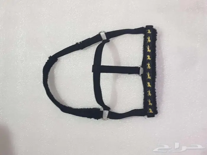 رشم خيل بأقل الأسعار 4