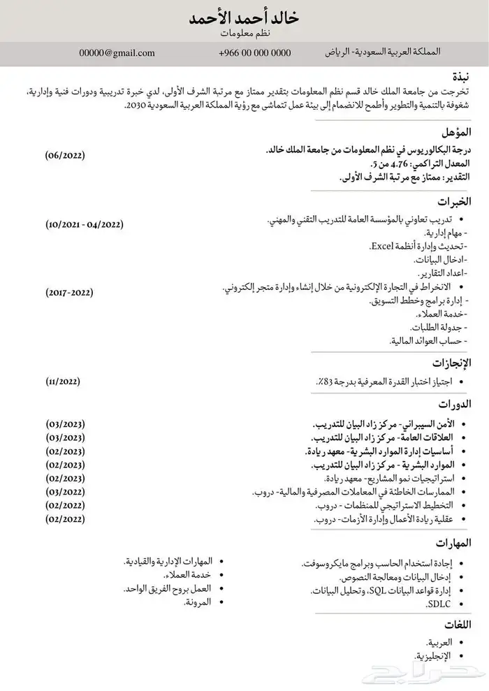 سيرة ذاتية احترافية 2