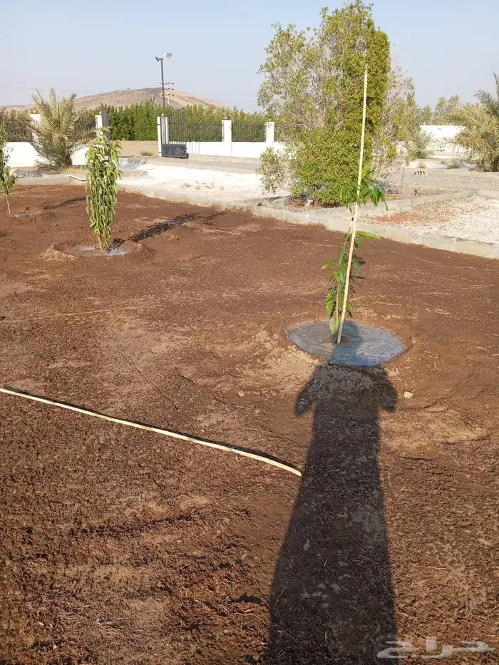 زراعة وحدائق 39