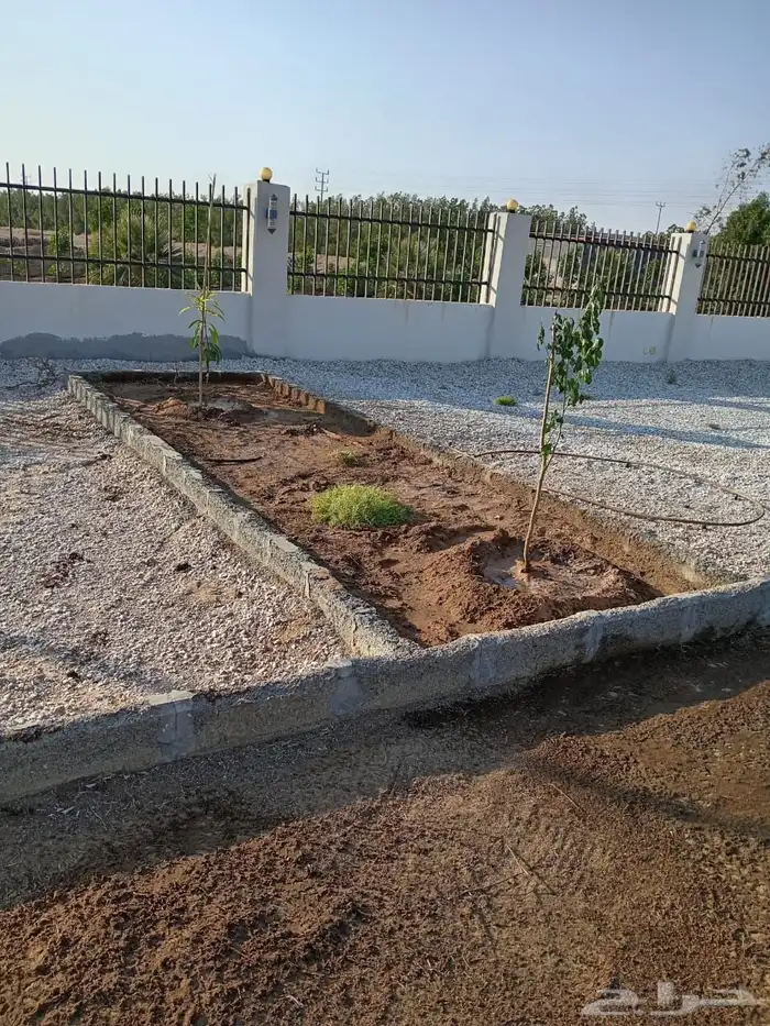 زراعة وحدائق 37