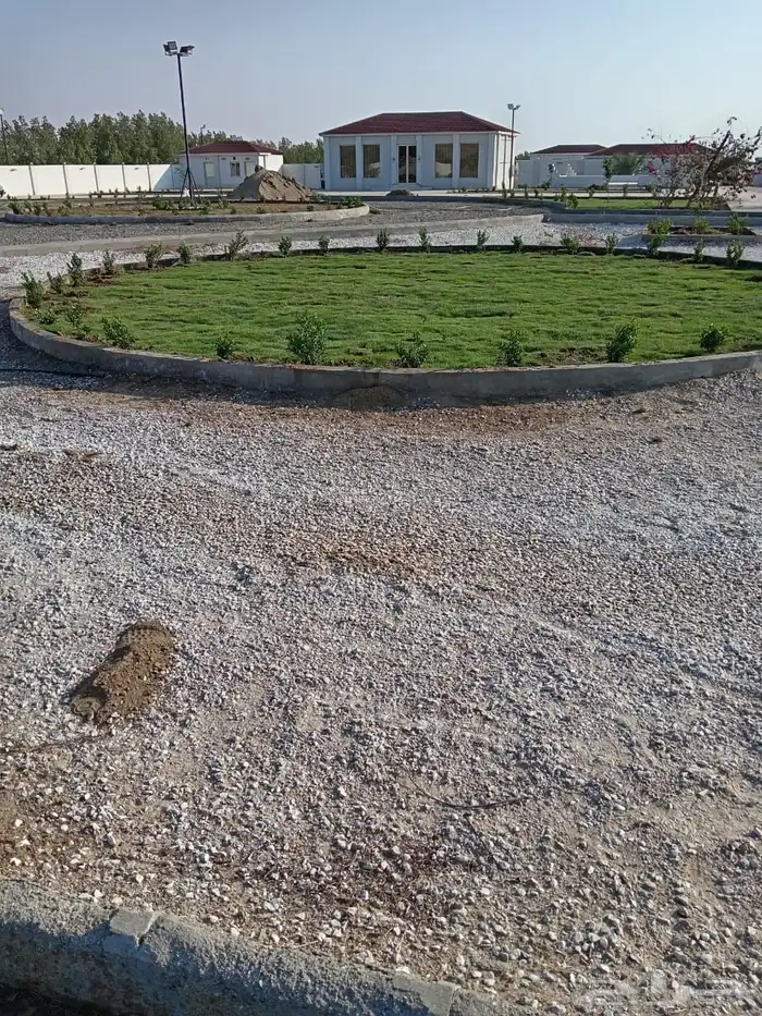 زراعة وحدائق 35