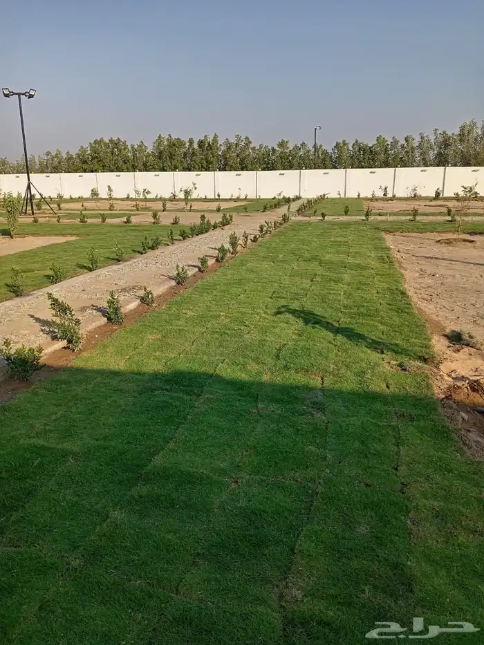 زراعة وحدائق 28